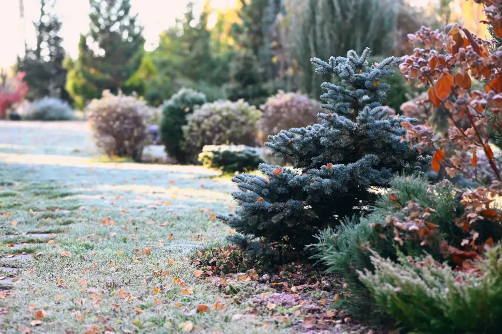 Gartenpflege im Winter